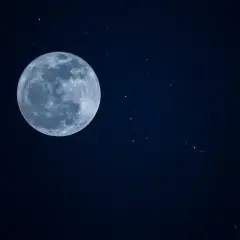 Pełnia księżyca w lwie, otoczona gwiezdnym pyłem.