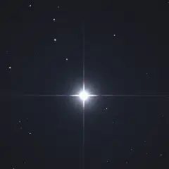 Jasny Syriusz, najjaśniejsza gwiazda na nocnym niebie, świeci pośród innych gwiazd.