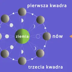 Cykl faz księżyca: nów, pierwsza kwadra, pełnia, trzecia kwadra. Ziemia w centrum, Słońce oświetla Księżyc.