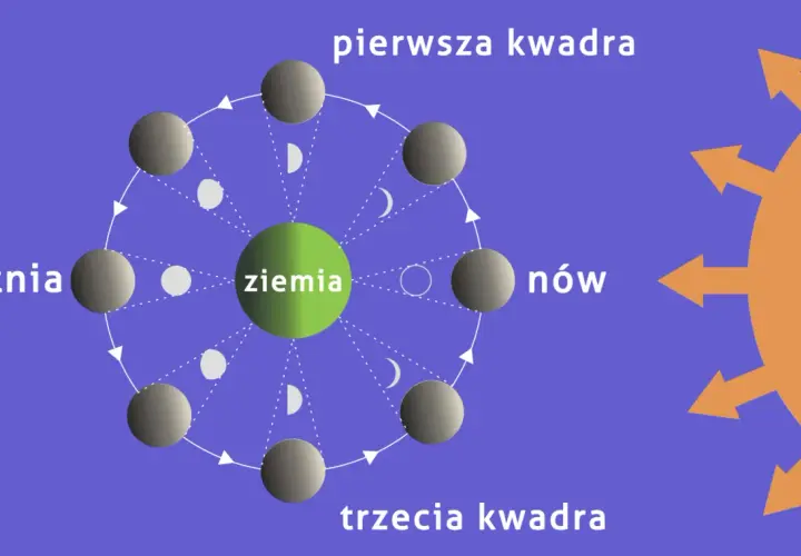 Cykl faz księżyca: nów, pierwsza kwadra, pełnia, trzecia kwadra. Ziemia w centrum, Słońce oświetla Księżyc.
