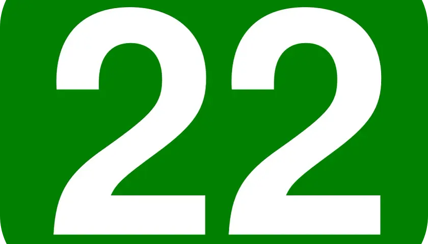 Zielony kwadrat z białymi cyframi 22. Numerologia 22 z dnia urodzenia symbolizuje mistrzostwo i intuicję.