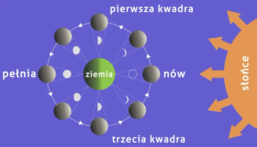 Cykl faz księżyca: nów, pierwsza kwadra, pełnia, trzecia kwadra. Ziemia w centrum, Słońce oświetla Księżyc.