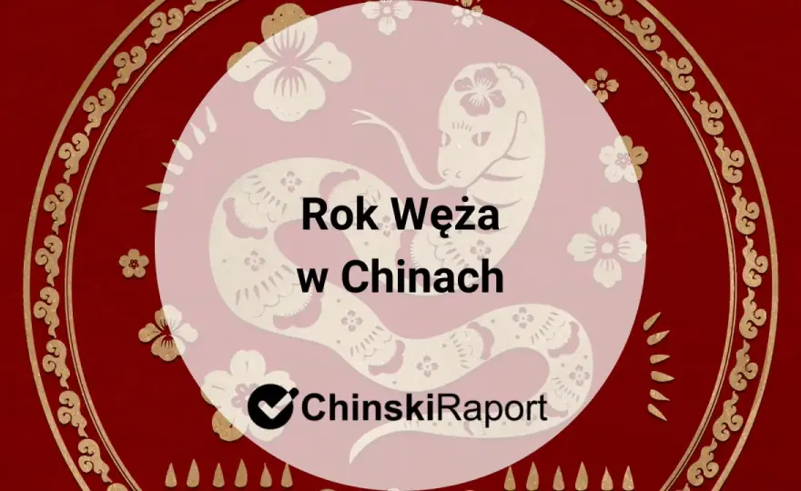 Rok Węża w chińskim zodiaku - charakter i związki