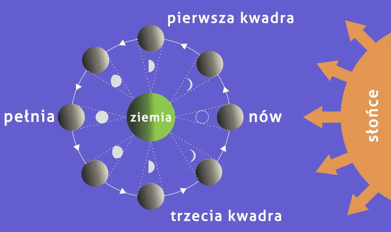 Cykl faz księżyca: nów, pierwsza kwadra, pełnia, trzecia kwadra. Ziemia w centrum, Słońce oświetla Księżyc.